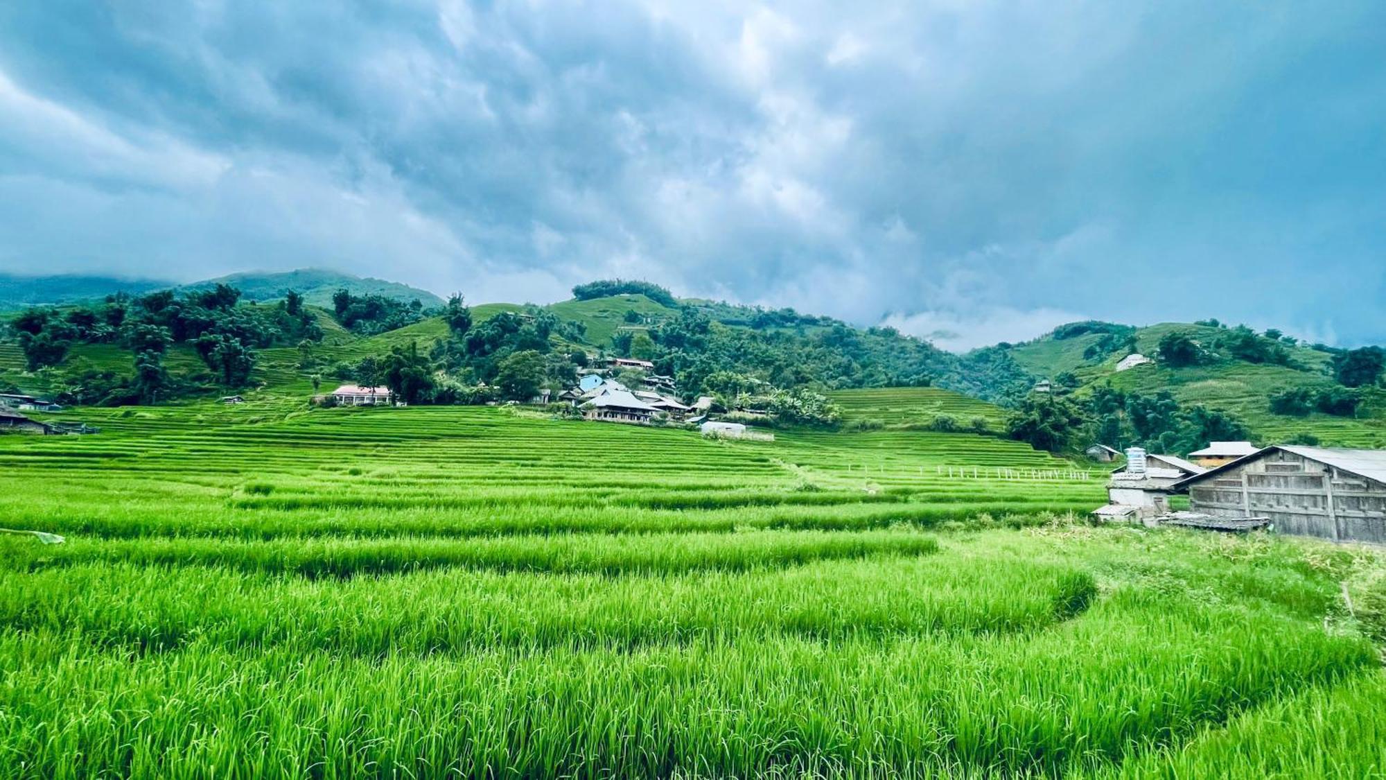 Albergue Eco Rice Fields House Sapa Exterior foto